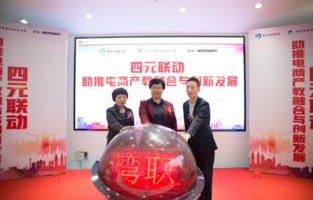 湄职院电子商务专业