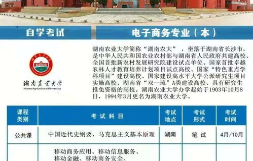 电子商务单招专业考试