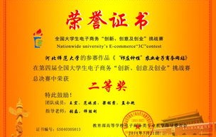 二级电子商务专业
