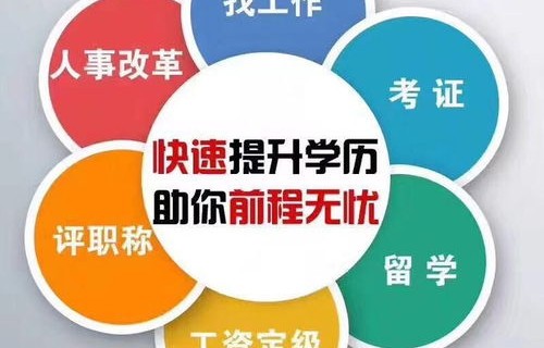 成人本科电子商务专业