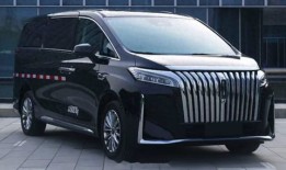 魏牌汽车商务车报价表（魏牌汽车商务车报价表图片）