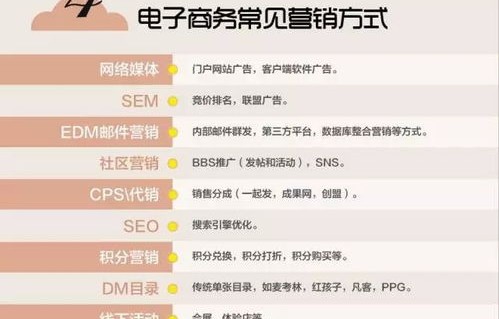 介绍电子商务专业知识