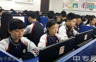 职业教育专业电子商务