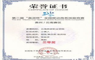 云南电子商务专业公办院校