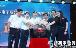 采访电子商务专业人士