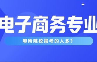 那些专业可调剂电子商务