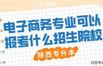 想找招电子商务专业企业