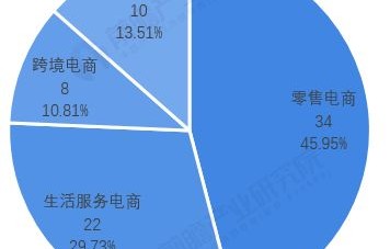 关于电子商务的专业分析