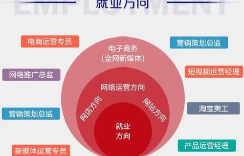 电子商务专业出来的干嘛