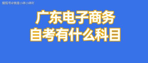 自考专业定电子商务好吗