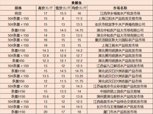 全国巡舞后的新征程——杨紫的全国巡骑之旅