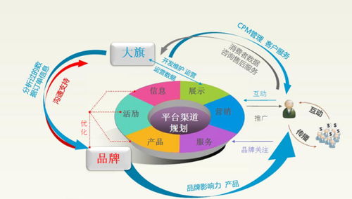 外贸电子商务是什么专业