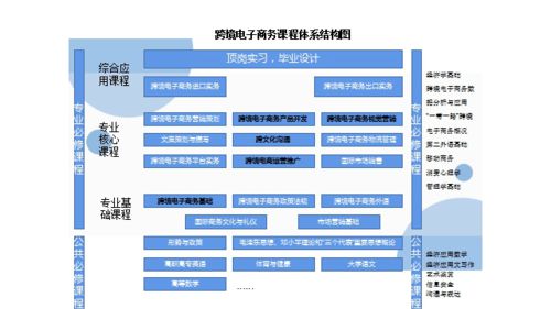 跨境电子商务专业毕业要求