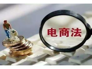 电子商务与法律专业怎样