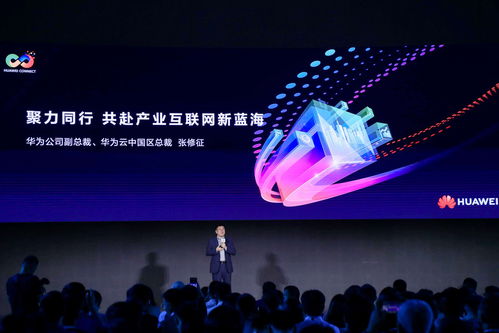 媒体：“出口转内销”是一片新蓝海