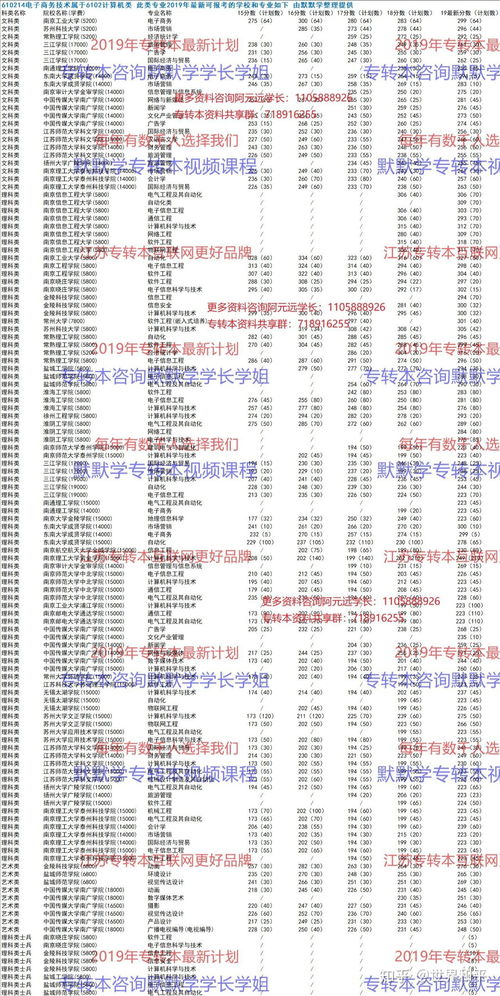 电子商务专业算什么类目