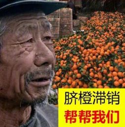 大爷坠坑88天事件发酵，日本如何挽回国际颜面？