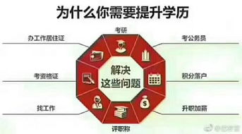 全国电子商务专业成考