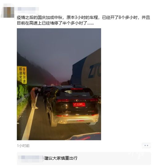 网友上了高速发现全都是“聪明人”