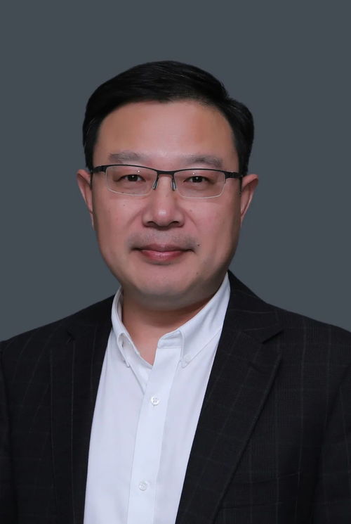 媒体热议，李铁若服满刑出狱时超60岁，引发社会关注与反思