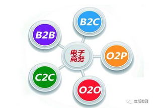 电子商务专业从事什么好