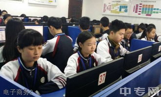 职业教育专业电子商务