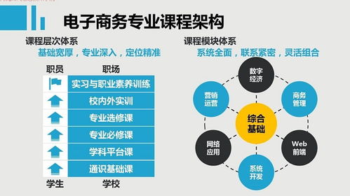 电子商务的专业工作内容