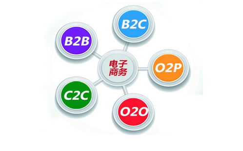 电子商务专业运营商