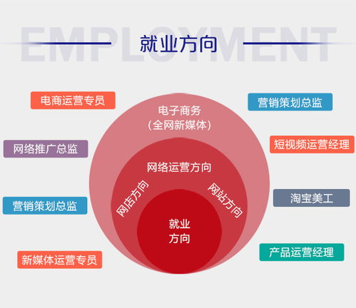 电子商务专业怎么就业好