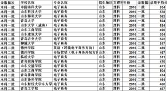 电子商务本科可选专业