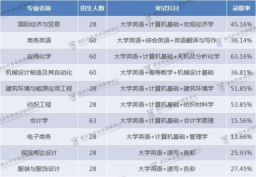 武汉纺织大学专业电子商务