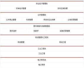 电子商务专业公务员报名