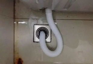 活猪口中插入水管灌水？当地回应