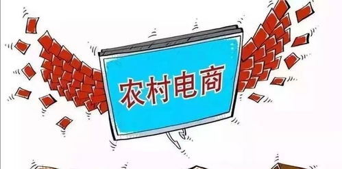 聚鑫专业洗护电子商务